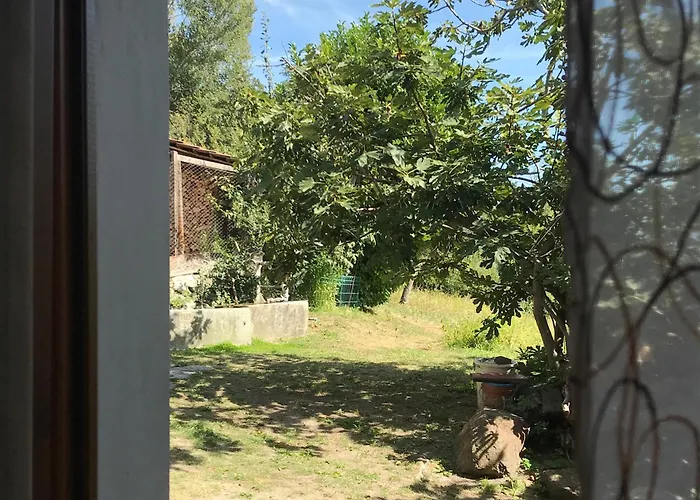 Palu Vacanze: L'intimita Hotel